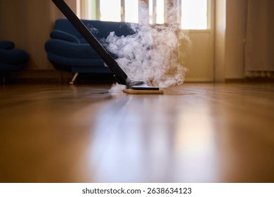 Limpieza a Vapor